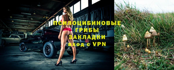 2c-b Нефтегорск